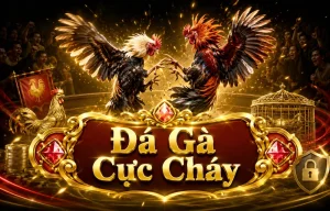 laureottmann Đá Gà